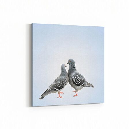 Olla 12521K Hayvanlar Alemi Görseli Kare Kanvas Tablo (Ölçü: 100X100)