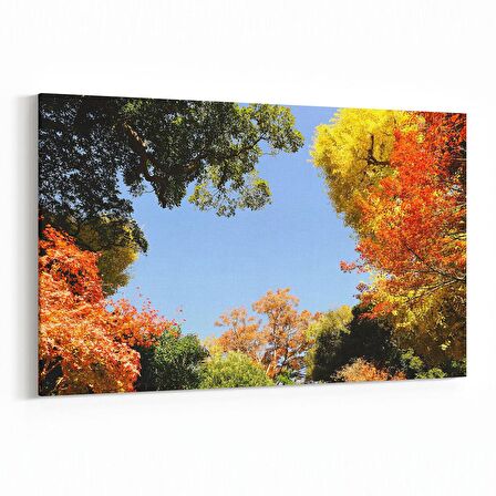 Olla 10923Y Ağaç Görseli Yatay Kanvas Tablo (Ölçü: 45X30)