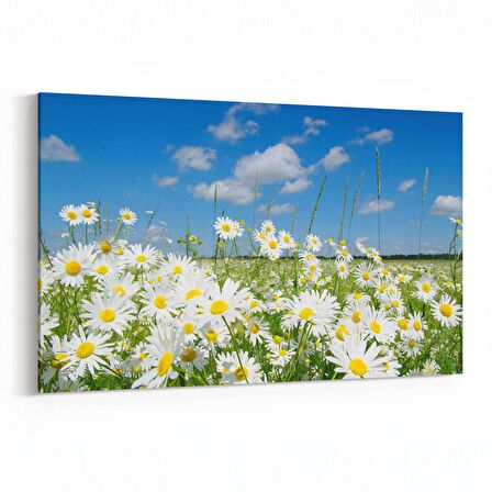 Olla 13569Y Doğa / Manzara Görseli Yatay Kanvas Tablo (Ölçü: 30X20)