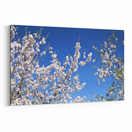 Olla 10937Y Ağaç Görseli Yatay Kanvas Tablo (Ölçü: 70X50)