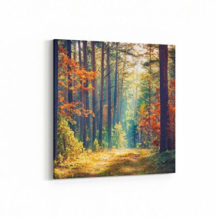 Olla 14508K Doğa / Manzara Görseli Kare Kanvas Tablo (Ölçü: 100X100)