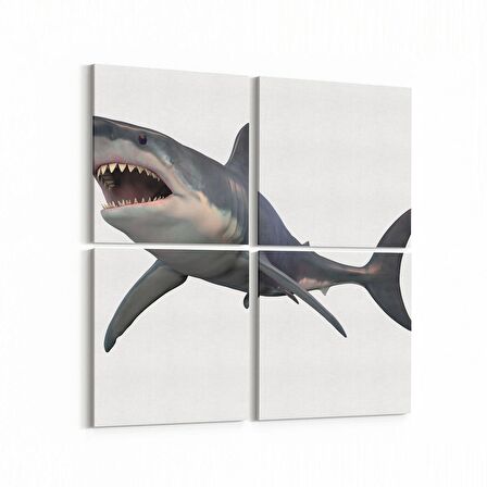 Olla 12611K4 Hayvanlar Alemi Görseli Kare 4'lü Kanvas Tablo (Ölçü: 65X65)