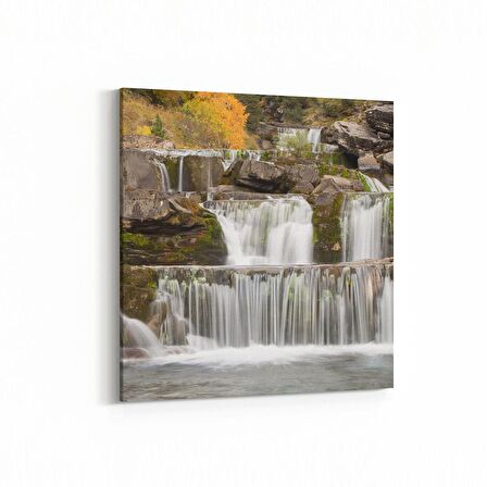 Olla 14154K Doğa / Manzara Görseli Kare Kanvas Tablo (Ölçü: 30X30)