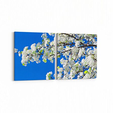 Olla 10651K2Y Ağaç Görseli Kare 2'li Yatay Kanvas Tablo (Ölçü: 145X70)