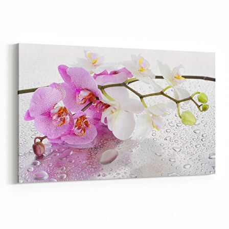 Olla 11661Y Orkide Çiçek Görseli Yatay Kanvas Tablo (Ölçü: 30X20)