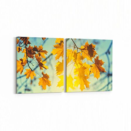 Olla 10885K2Y Ağaç Görseli Kare 2'li Yatay Kanvas Tablo (Ölçü: 145X70)