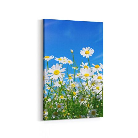 Olla 14323D Doğa / Manzara Görseli Dikey Kanvas Tablo (Ölçü: 20X30)