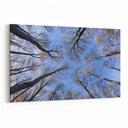 Olla 10703Y Ağaç Görseli Yatay Kanvas Tablo (Ölçü: 45X30)