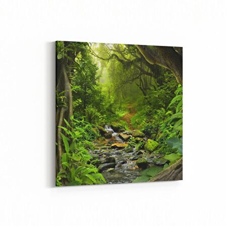 Olla 14178K Doğa / Manzara Görseli Kare Kanvas Tablo (Ölçü: 25X25)