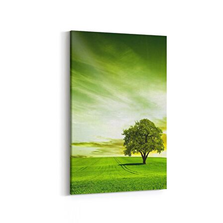 Olla 14608D Doğa / Manzara Görseli Dikey Kanvas Tablo (Ölçü: 40X60)