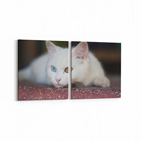 Olla 12578K2Y Hayvanlar Alemi Görseli Kare 2'li Yatay Kanvas Tablo (Ölçü: 105X50)