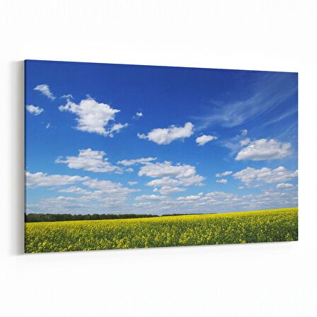 Olla 13965Y Doğa / Manzara Görseli Yatay Kanvas Tablo (Ölçü: 45X30)