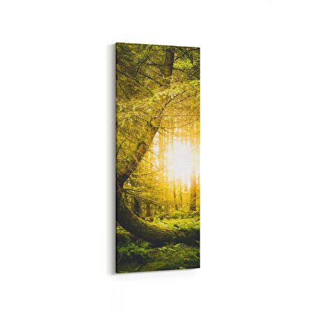 Olla 14484DI Doğa / Manzara Görseli Dikey İnce Kanvas Tablo (Ölçü: 40X120)
