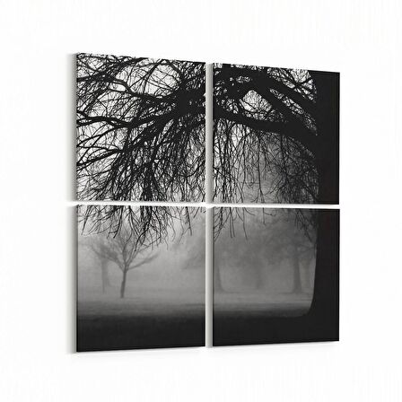 Olla 13652K4 Doğa / Manzara Görseli Kare 4'lü Kanvas Tablo (Ölçü: 65X65)