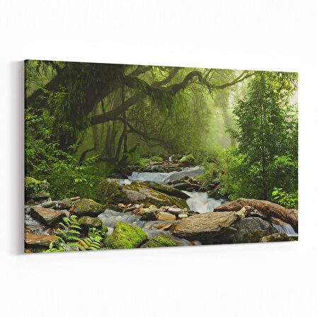 Olla 13789Y Doğa / Manzara Görseli Yatay Kanvas Tablo (Ölçü: 90X60)