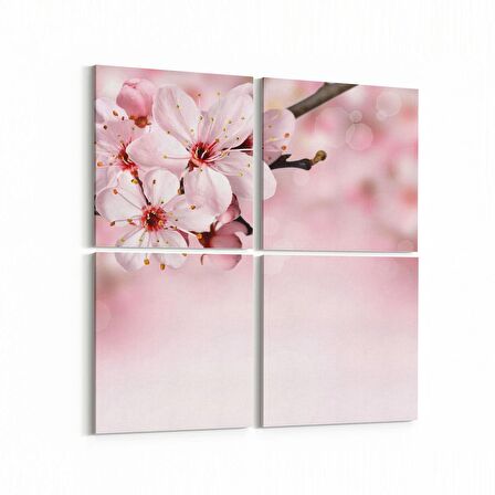 Olla 11672K4 Orkide Çiçek Görseli Kare 4'lü Kanvas Tablo (Ölçü: 145X145)