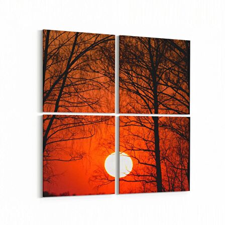 Olla 15997K4 Günbatımı Görseli Kare 4'lü Kanvas Tablo (Ölçü: 125X125)