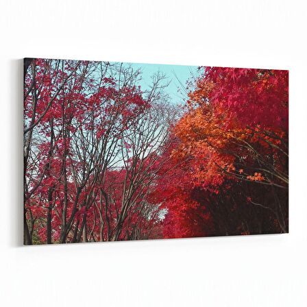 Olla 14525Y Doğa / Manzara Görseli Yatay Kanvas Tablo (Ölçü: 120X80)