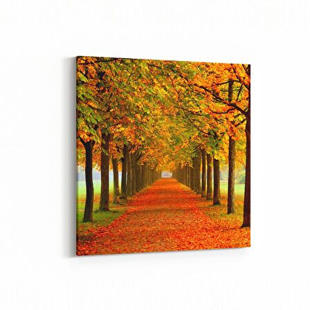 Olla 13230K Doğa / Manzara Görseli Kare Kanvas Tablo (Ölçü: 25X25)