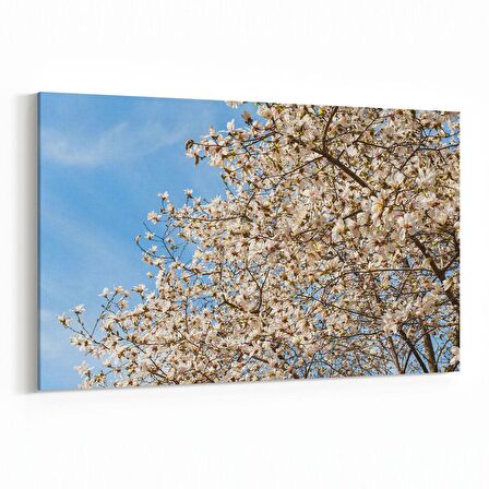 Olla 10822Y Ağaç Görseli Yatay Kanvas Tablo (Ölçü: 150X100)