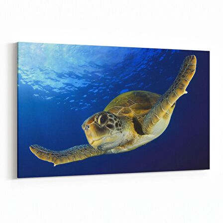 Olla 12930Y Deniz / Okyanus Görseli Yatay Kanvas Tablo (Ölçü: 30X20)