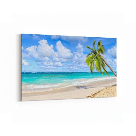 Olla 16535Y Kumsal / Sahil Görseli Yatay Kanvas Tablo (Ölçü: 120X80)