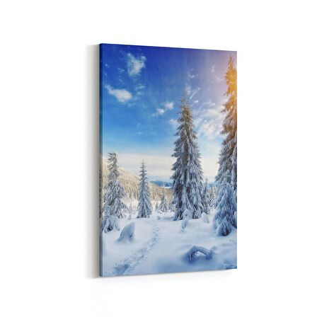 Olla 13928D Doğa / Manzara Görseli Dikey Kanvas Tablo (Ölçü: 80X120)