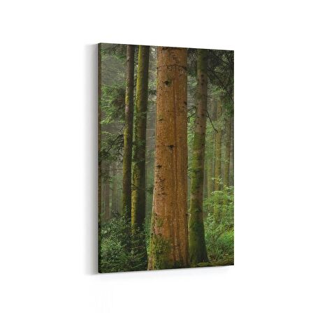 Olla 13911D Doğa / Manzara Görseli Dikey Kanvas Tablo (Ölçü: 60X90)