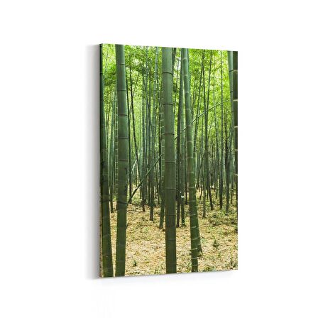 Olla 14182D Doğa / Manzara Görseli Dikey Kanvas Tablo (Ölçü: 60X90)