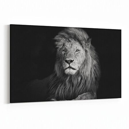 Olla 12552Y Hayvanlar Alemi Görseli Yatay Kanvas Tablo (Ölçü: 45X30)