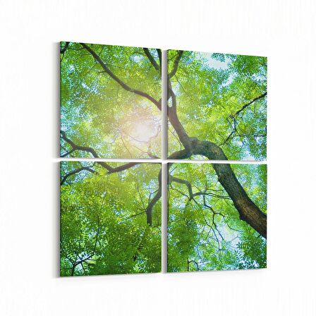 Olla 10497K4 Ağaç Görseli Kare 4'lü Kanvas Tablo (Ölçü: 145X145)