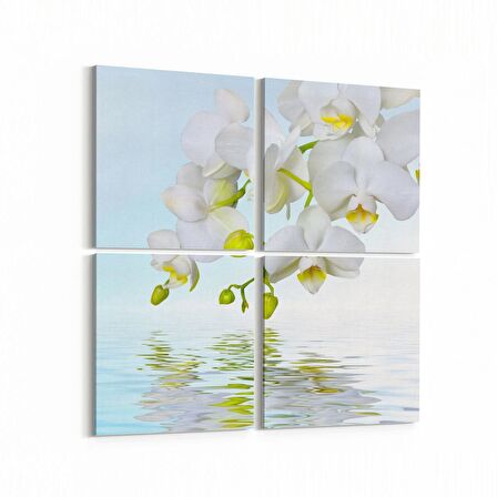 Olla 11735K4 Orkide Çiçek Görseli Kare 4'lü Kanvas Tablo (Ölçü: 145X145)