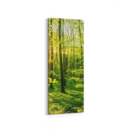 Olla 14304DI Doğa / Manzara Görseli Dikey İnce Kanvas Tablo (Ölçü: 40X120)