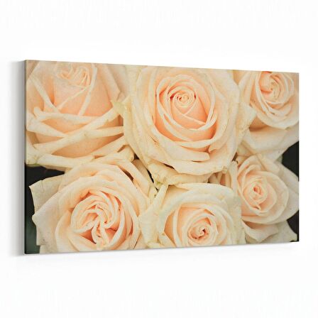 Olla 11619Y Çiçek Görseli Yatay Kanvas Tablo (Ölçü: 120X80)