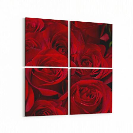 Olla 11557K4 Çiçek Görseli Kare 4'lü Kanvas Tablo (Ölçü: 65X65)