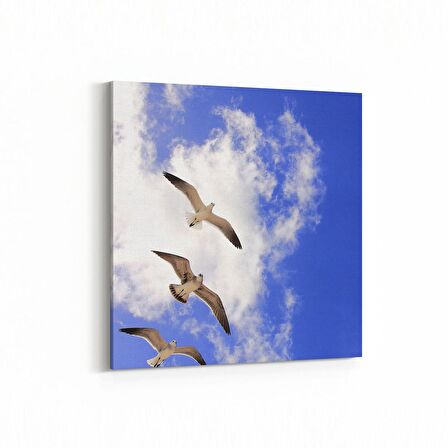 Olla 15834K Gökyüzü Kuşlar Görseli Kare Kanvas Tablo (Ölçü: 30X30)