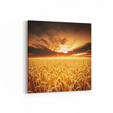 Olla 16075K Günbatımı Görseli Kare Kanvas Tablo (Ölçü: 100X100)