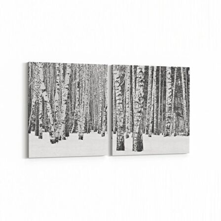 Olla 13317K2Y Doğa / Manzara Görseli Kare 2'li Yatay Kanvas Tablo (Ölçü: 105X50)