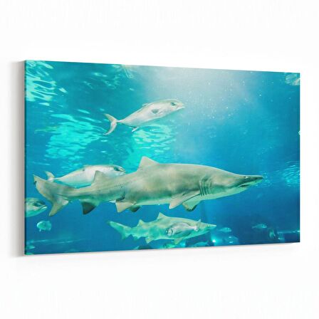 Olla 12896Y Deniz / Okyanus Görseli Yatay Kanvas Tablo (Ölçü: 120X80)