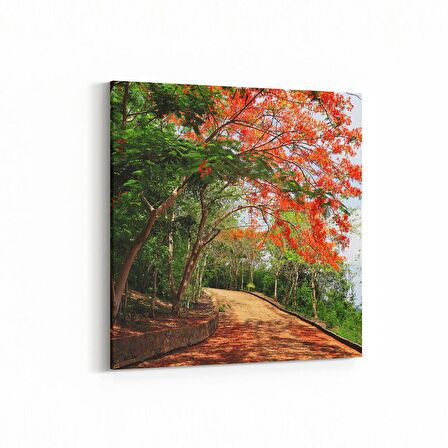 Olla 13489K Doğa / Manzara Görseli Kare Kanvas Tablo (Ölçü: 25X25)