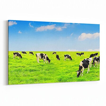 Olla 12671Y Hayvanlar Alemi Görseli Yatay Kanvas Tablo (Ölçü: 150X100)