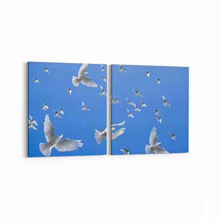 Olla 15862K2Y Gökyüzü Kuşlar Görseli Kare 2'li Yatay Kanvas Tablo (Ölçü: 125X60)