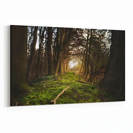 Olla 14005Y Doğa / Manzara Görseli Yatay Kanvas Tablo (Ölçü: 120X80)