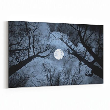 Olla 14769Y Gece Gökyüzü Görseli Yatay Kanvas Tablo (Ölçü: 90X60)