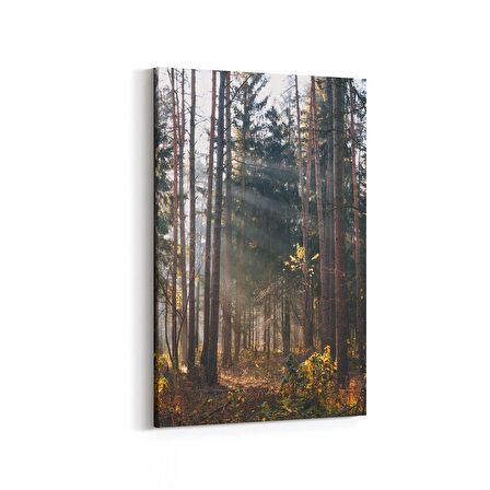 Olla 13560D Doğa / Manzara Görseli Dikey Kanvas Tablo (Ölçü: 60X90)