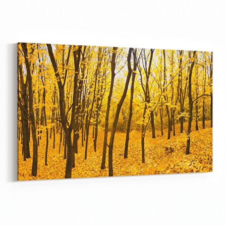 Olla 14318Y Doğa / Manzara Görseli Yatay Kanvas Tablo (Ölçü: 30X20)