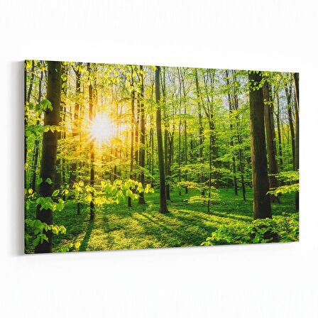 Olla 14304Y Doğa / Manzara Görseli Yatay Kanvas Tablo (Ölçü: 45X30)