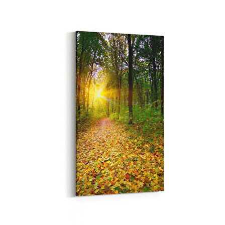 Olla 14325DD Doğa / Manzara Görseli Dikey Dar Kanvas Tablo (Ölçü: 30X60)