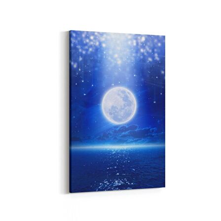 Olla 14704D Gece Gökyüzü Görseli Dikey Kanvas Tablo (Ölçü: 40X60)