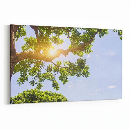 Olla 10604Y Ağaç Görseli Yatay Kanvas Tablo (Ölçü: 45X30)